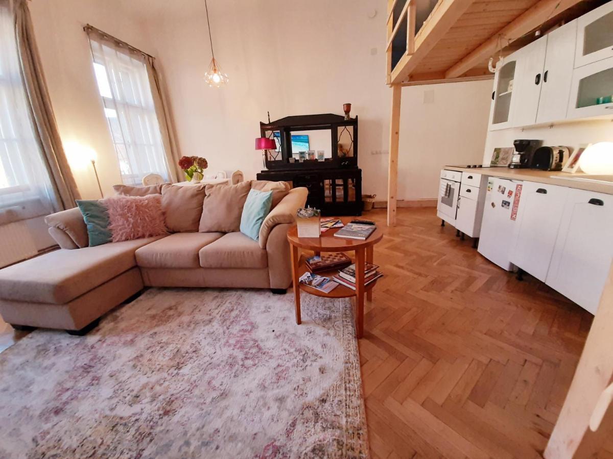 Central Loft Apartment Braşov Exterior foto